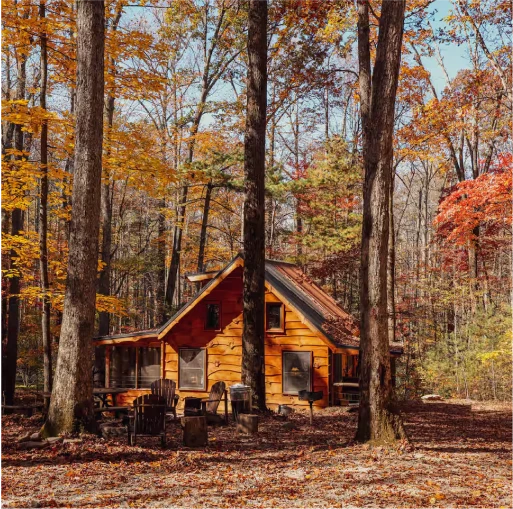 Modern Mountain Living